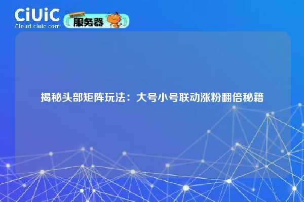 揭秘头部矩阵玩法：大号小号联动涨粉翻倍秘籍
