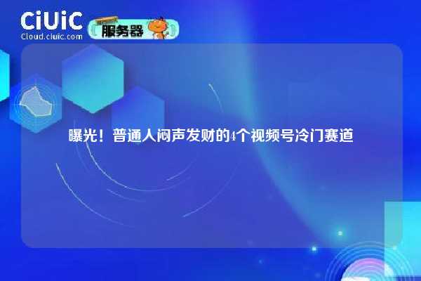 曝光！普通人闷声发财的4个视频号冷门赛道
