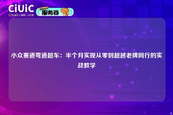 小众赛道弯道超车：半个月实现从零到超越老牌同行的实战教学