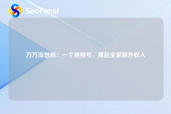 万万没想到：一个视频号，撑起全家额外收入