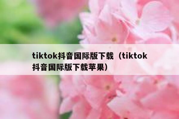 tiktok抖音国际版下载（tiktok抖音国际版下载苹果） 第1张